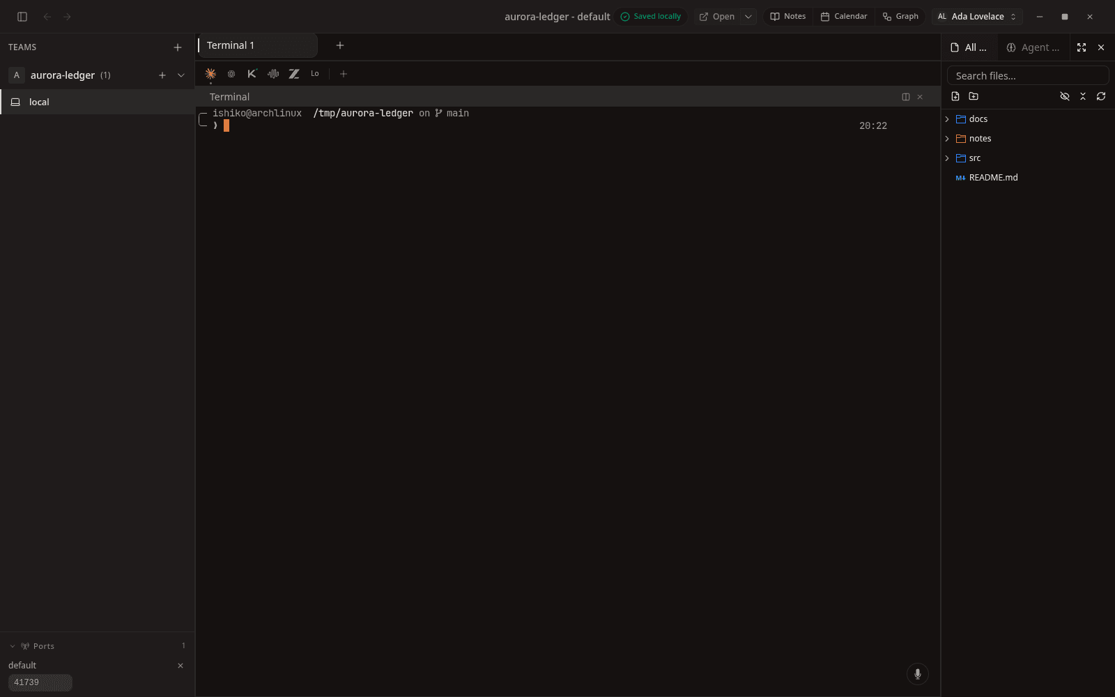 Team rail, tab strip, model bar, a live terminal, the file tree, and the ports panel.
