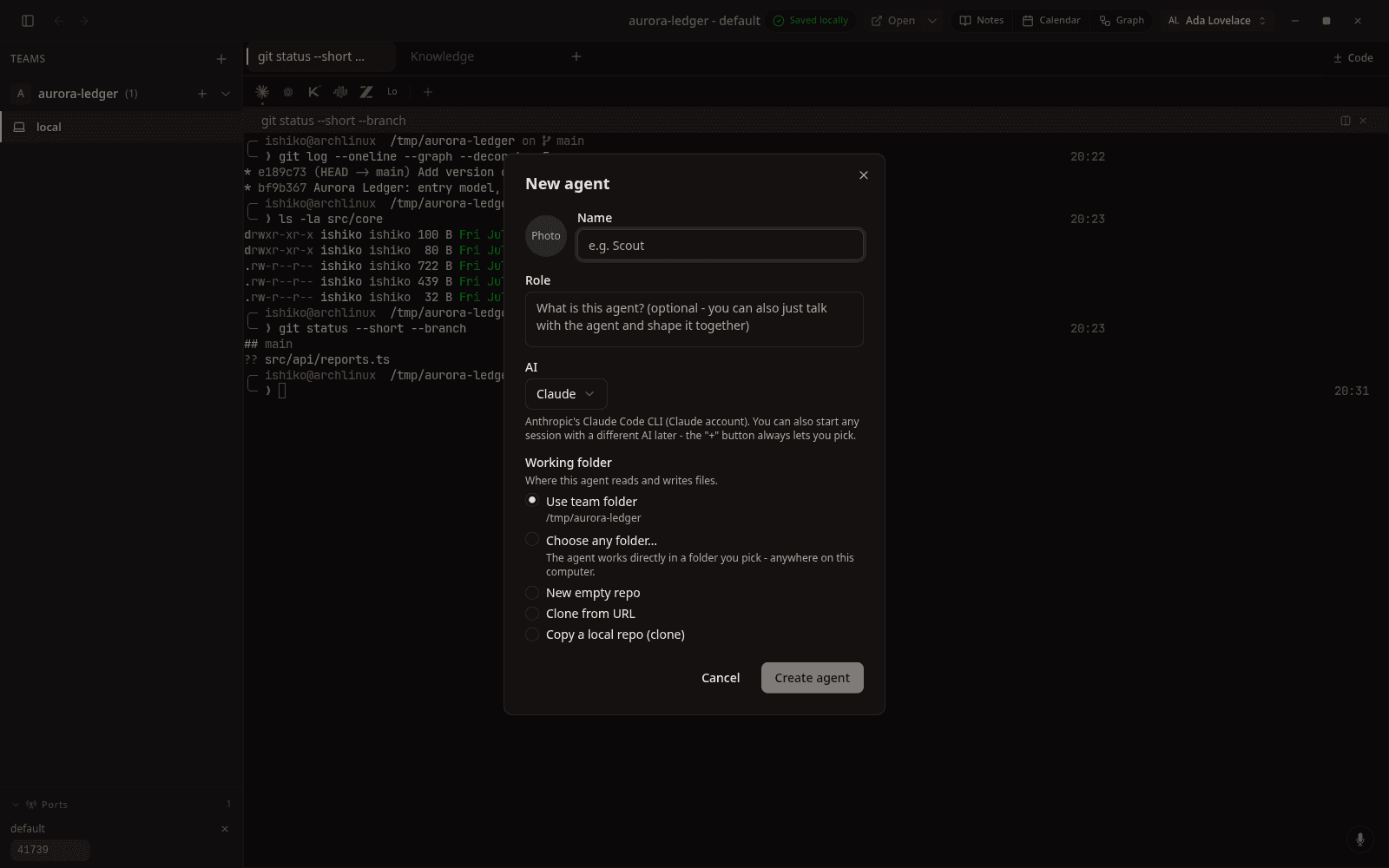 Name, role, runtime, and working folder - team folder, any folder, a new repo, or a clone.